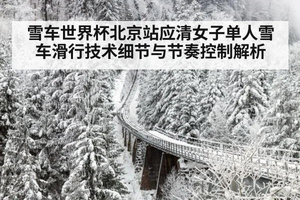 雪车世界杯北京站应清女子单人雪车滑行技术细节与节奏控制解析 - hth